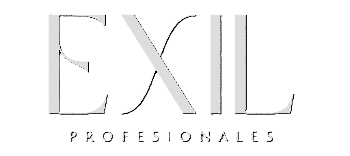 Exil Logo